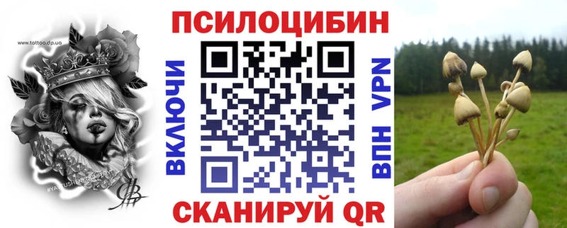 Псилоцибиновые грибы ЛСД  Каменка 